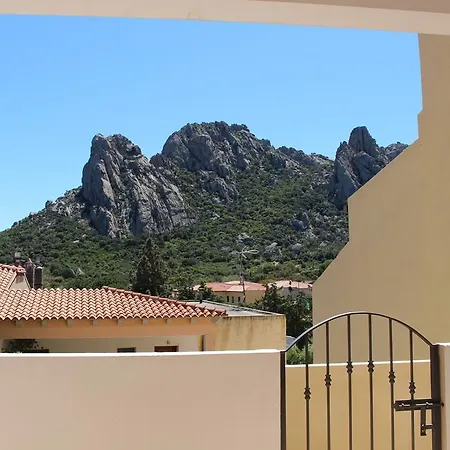 Sasimedda